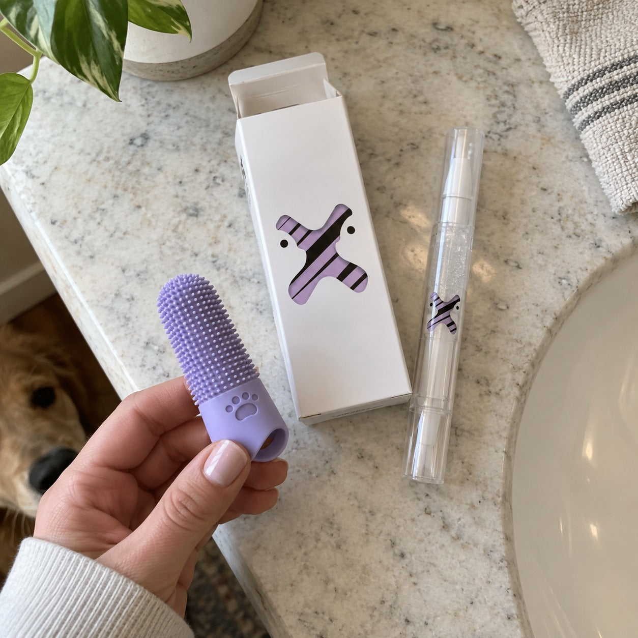 Customer photo for SmilePaws CalmClean Dental Kit